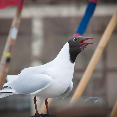 Magnat Apartmán Pogorzelica (Gmina Rewal)